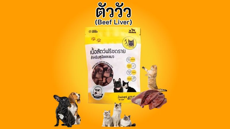 Freeze-dried ตับวัวพรีเมี่ยมไม่เค็มตัวแน่นขนสวยแข็งแรง