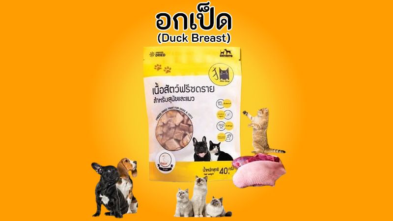 Freeze-dried อกเป็ดพรีเมี่ยมไม่เค็มตัวแน่นขนสวยแข็งแรง