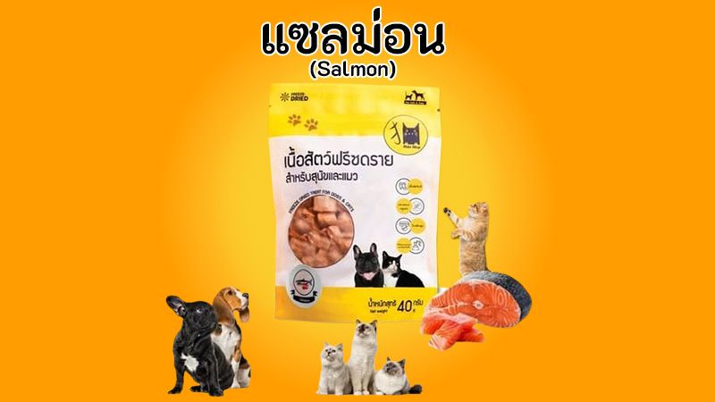 Freeze-dried แซลม่อนพรีเมี่ยมไม่เค็มตัวแน่นขนสวยแข็งแรง